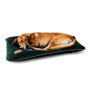 Cama para perro con almohada tapizada en terciopelo grueso. Cama para mascotas fácil de limpiar, almohada para gato. Cojín para perro en color verde botella de tacto suave.