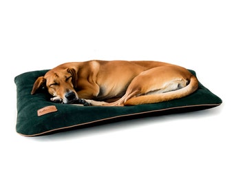 Dog pillow bed with thick velvet upholstery fabric. Easy to clean pet bed, cat pillow. Dog cushion in bottle green color with a soft feel