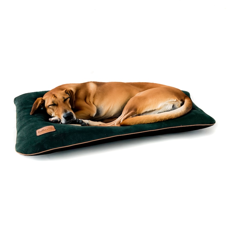 Puede incluir: Un perro marr&oacute;n durmiendo en una cama rectangular verde oscuro para perros con una etiqueta de cuero marr&oacute;n que dice "Hallmark".