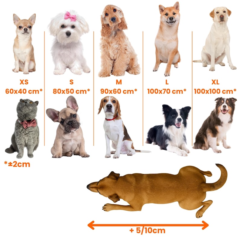 Bottle Green Velvet Dog Bed, Easy Clean Pet Pillow imagen 4