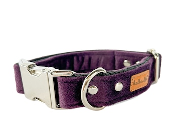 Halsband Pflaume, Violett für Haustiere. Velour Haustierhalsbänder. Wasserdichtes Hundehalsband. Katzenhalsband, Hundehalsband aus Velour, starkes Hundehalsband