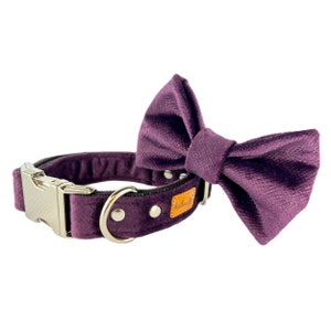 Purple collar with bow tie for pets. Plum bow tie for dogs and cats. Velour pet collars. Violet dog bow tie. Waterproof dog collar.