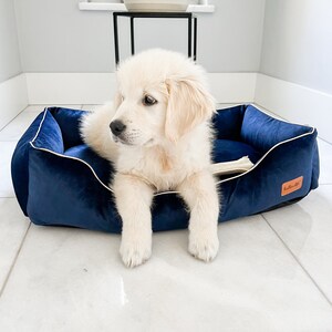 K&ouml;nnte beinhalten: Ein marineblaues Hundebett mit wei&szlig;er Paspelierung und einem kleinen Etikett. Ein flauschiger, hellfarbiger Welpe liegt in dem Bett, mit einem Knochen sichtbar. Das Bett steht auf einem gefliesten Boden.
