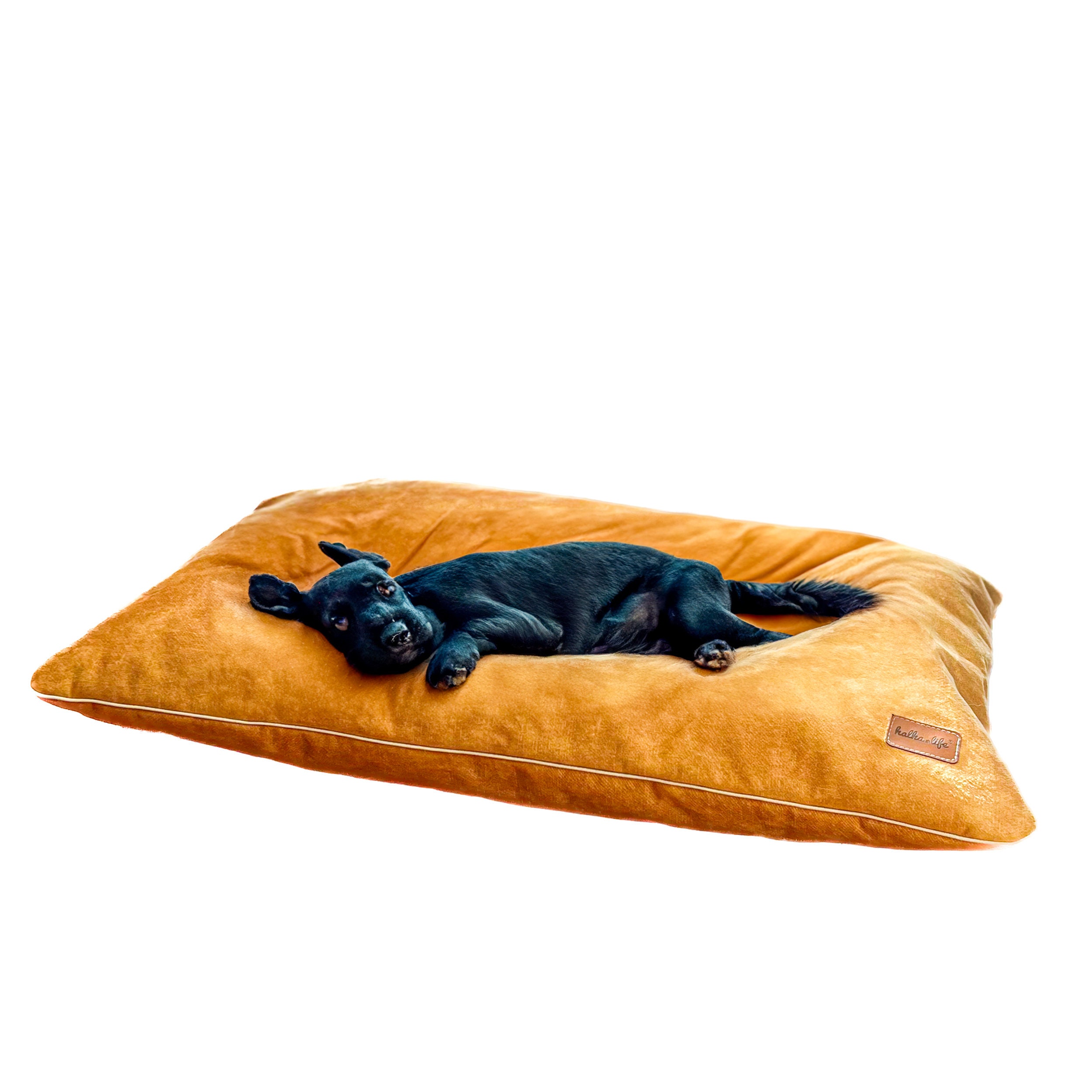 Dog pillow bed. Yellow velvet pet cushion, soft cat pillow, dog bed, yellow honey cat bed, velvet dog bed, soft dog pillow. Fluffy dog bed
