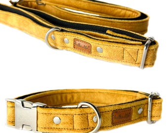 Könnte beinhalten: Ein gelbes Samthalsband und eine passende Leine mit einer silbernen Schnalle und einem braunen Lederanhänger mit der Aufschrift "Collar & Co."
