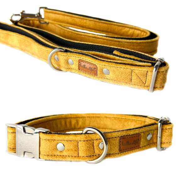hundebett modern Hundebett LupoLounge 80  60 cm in Cord