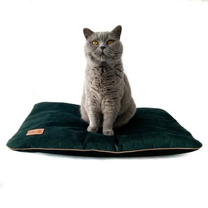 Puede incluir: Un gato gris sentado en una cama para mascotas de terciopelo verde oscuro con una etiqueta de cuero marr&oacute;n que dice "Ballerina Life".