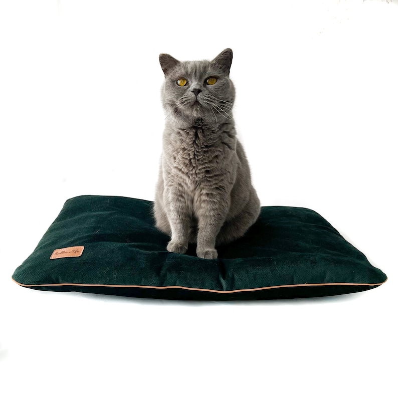 Puede incluir: Un gato gris sentado en una cama para mascotas de terciopelo verde oscuro con una etiqueta de cuero marr&oacute;n que dice "Ballerina Life".