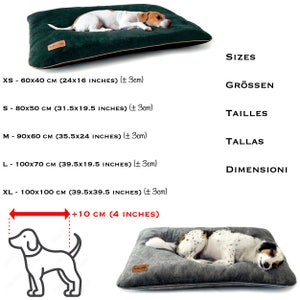 Puede incluir: Una cama para perro de color verde con un ribete marr&oacute;n y un perro blanco acostado en ella. La cama est&aacute; disponible en diferentes tama&ntilde;os: XS - 60x40 cm, S - 80x50 cm, M - 90x60 cm, L - 100x70 cm, XL - 100x100 cm. La cama tambi&eacute;n est&aacute; disponible en otros colores.