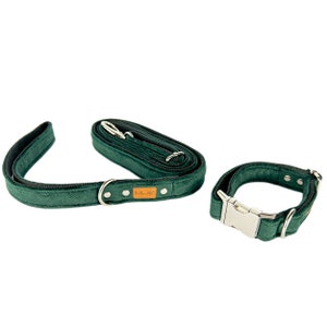 Bottle green set for pets. Collar and leash for dogs and cats. Velvet dog leash. Dog lead and metal and plastic buckle collar.