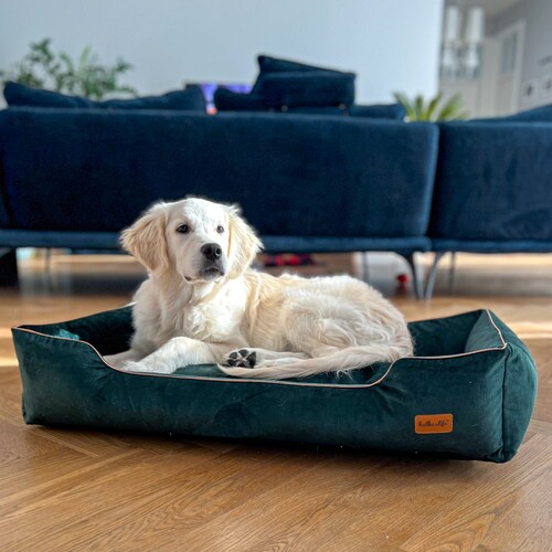 dog sized couch