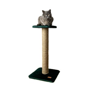 Cat scratcher, cat scratching post. Grey cat tree, bottle green cat tree. One pole cat scratcher with shelf.