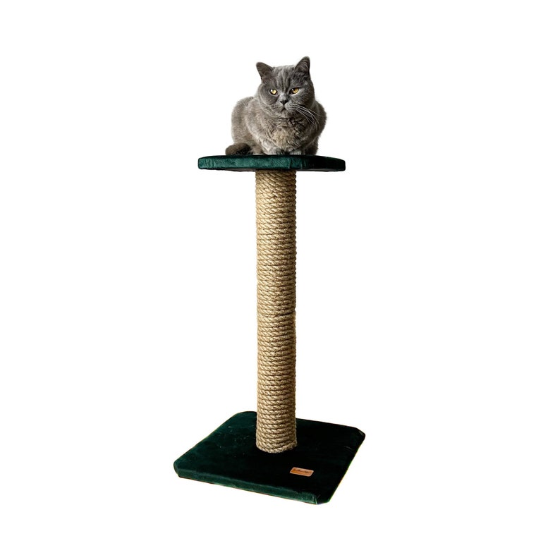 Cat scratcher, cat scratching post. Grey cat tree, bottle green cat tree. One pole cat scratcher with shelf. image 1