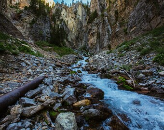 Intermittent Spring & Swift Creek - Afton, WY