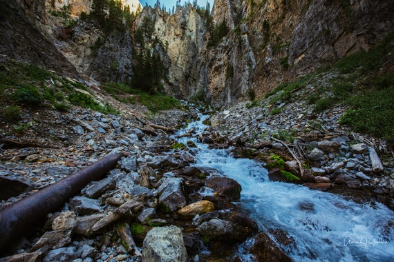 Intermittent Spring & Swift Creek - Afton, WY