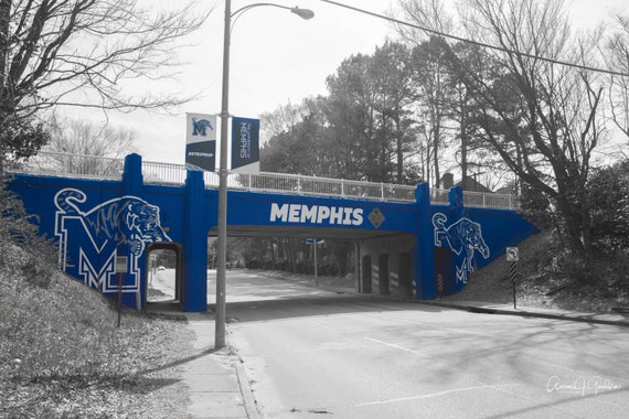 Memphis Tigers Bridge on Central Avenue