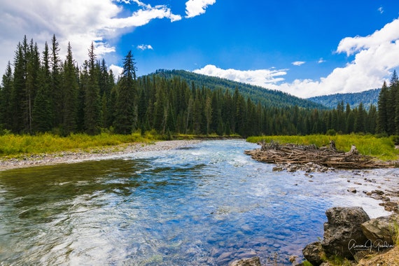 Grey's River - Bridger Teton National Forest