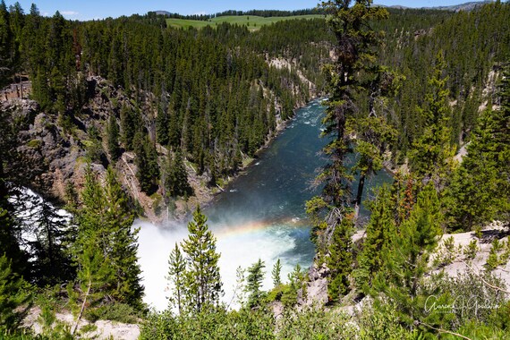 Grand Canyon of Yellowstone National Park Top View