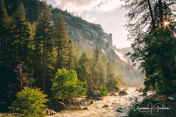 Yosemite National Park - Various Images