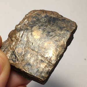 Big Biotite