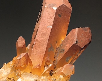 希少なゴールデンヒーラージュエリーポイント 31 個セット__