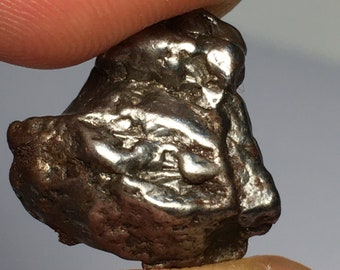 Meteorito de hierro/níquel Campo Del Cielo