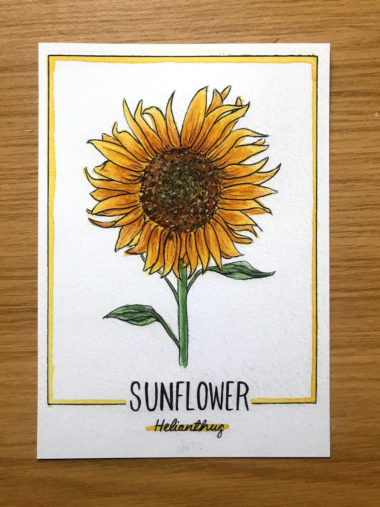 Autumn Flowers Set Botanical Illustration Watercolour | Etsy