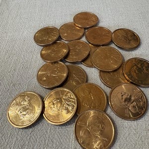 20-Hand-Selected Sacagawea Gold Dollars INCLUDING (3) Collector’s Edition Coins in Black Velvet Pouch!