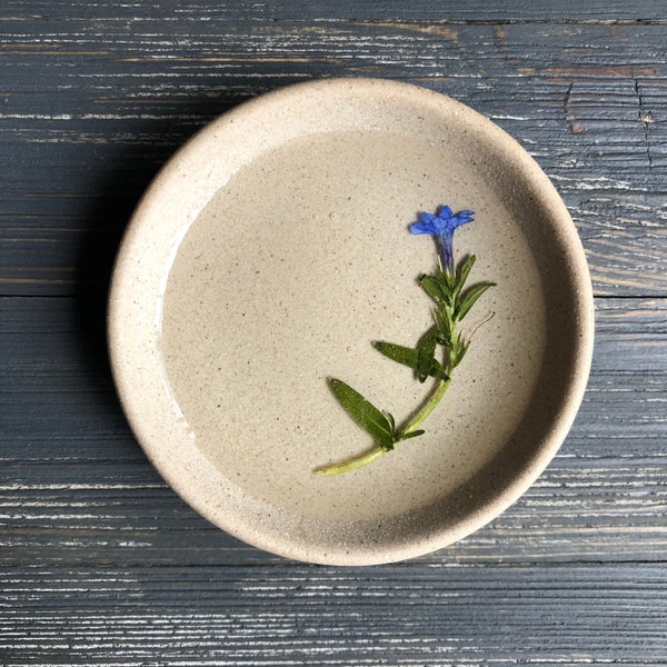 Simple Ceramic Preserved Flower Ring Dish