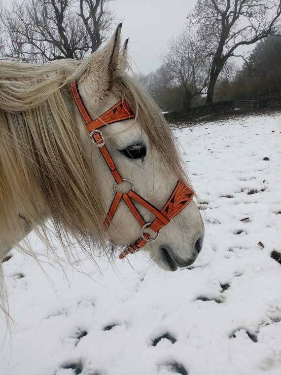 Avignon - Zaumzeug, Leder (Kleines Pony) (Braun