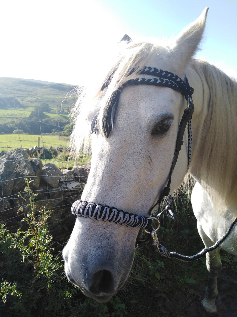 BuckYou Perfect Fit Fully Adjustable Black and Silver Rope and Biothane Sidepull bitless Bridle and reins!