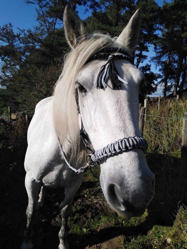 BuckYou Perfect Fit Fully Adjustable Black and Silver Rope and Biothane Sidepull bitless Bridle and reins!