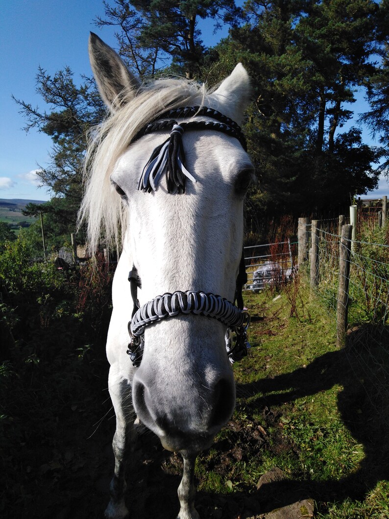BuckYou Perfect Fit Fully Adjustable Black and Silver Rope and Biothane Sidepull bitless Bridle and reins!