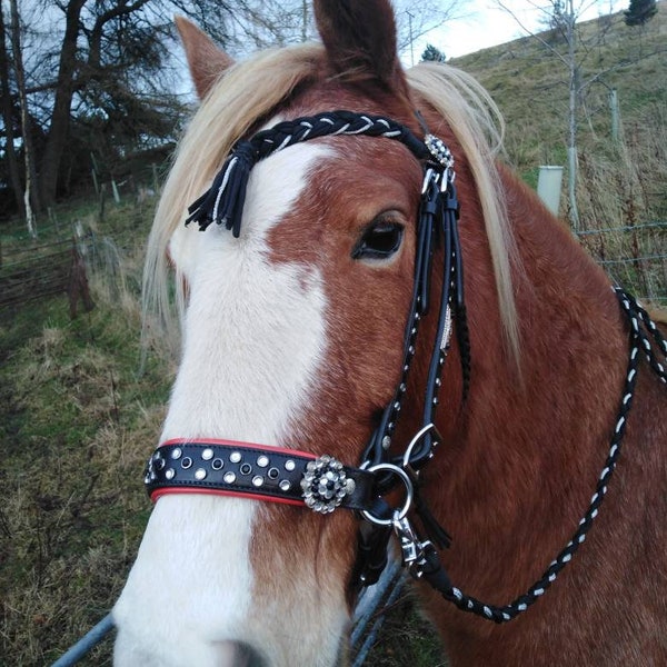 Bitless sidepull baroque bridle pony to extra full red & black crystals
