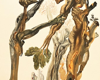 Salvador Dali - The Divine Comedy Hill: Thirteenth song - The forest of suicides- original vintage woodcut. Surrealist Art, Surrealist Gift,