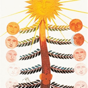 Salvador Dalì The Sun tree Signed lithograph 800 copies 1979 image 2