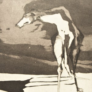 Nag Arnoldi - Cane - "Zoo dell'amore" acquaforte d'epoca firmata 90 copie.