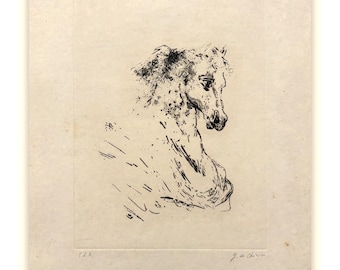 Giorgio de Chirico - Head of a Small Horse - Etching on Japanese paper, Rare work, Italian art