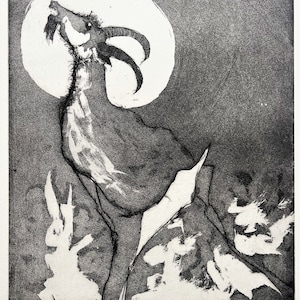Nag Arnoldi - Capra- "Zoo dell'amore" acquaforte d'epoca firmata 90 copie.
