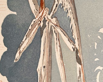 Salvador Dalì - La Divina Commedia - Paradiso - Canto ventiduesimo: Impenetrabilità divina - xilografia originale d'epoca, 1963.