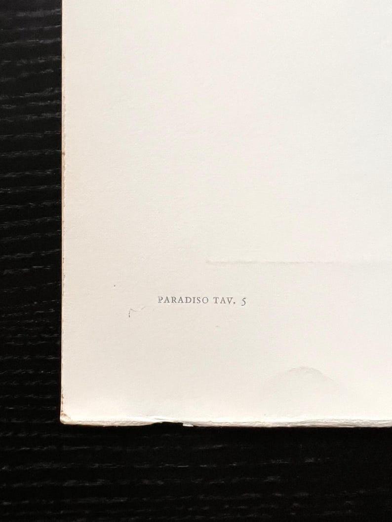 Puede incluir: Una esquina de un papel blanco con el texto "PARADISO TAV. 5" impreso en una fuente peque&ntilde;a y oscura. El papel tiene una superficie ligeramente texturizada y est&aacute; sobre un fondo oscuro.