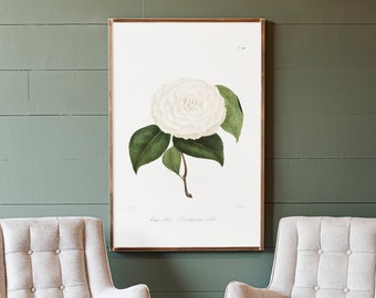 Camellia Art Print Wood Sign | Living Room Wood Sign | Camellia Artwork | Framed Wood Signs | Extra Large Art | Flower Wall Decor | 255