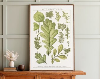 Antique Leaves Print Wood Sign: Framed Botanical Wall Art | 253