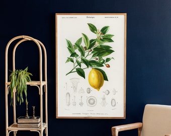 Lemon Botanical Print: Vintage Kitchen Wood Sign | 244