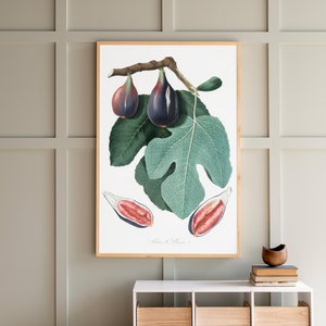 Fig Tree Wall Art | Living Room Wood Sign | Botanical Print | Framed Wood Signs | Extra Large Art | Fig Wall Art | Fig Art Prints | 250
