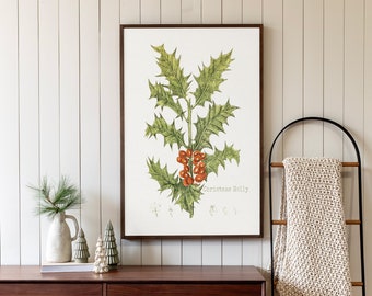 May include: A framed botanical illustration of a Christmas holly plant with red berries. The illustration is on a white background with the text "Christmas Holly" printed below the plant. The framed illustration is hanging on a white wall above a wooden dresser.