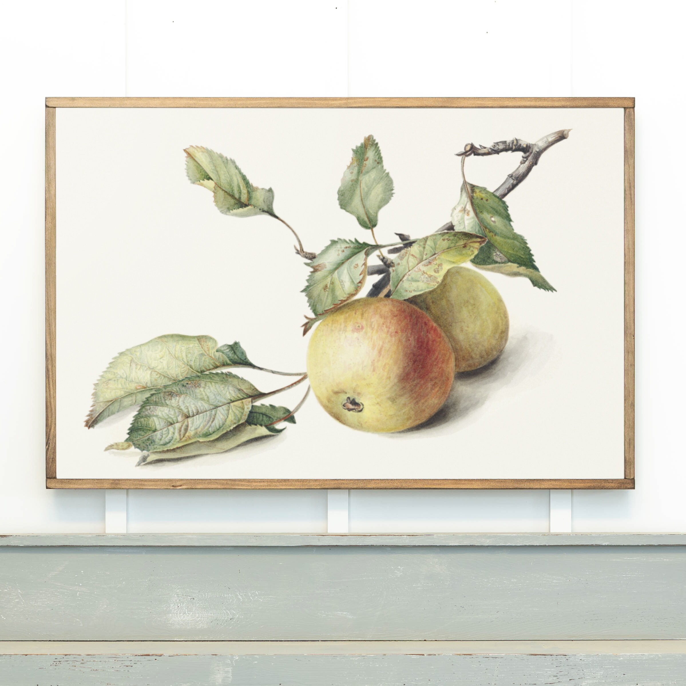 Apple Blue Tree - Etsy Apple Blue Tree - Etsy