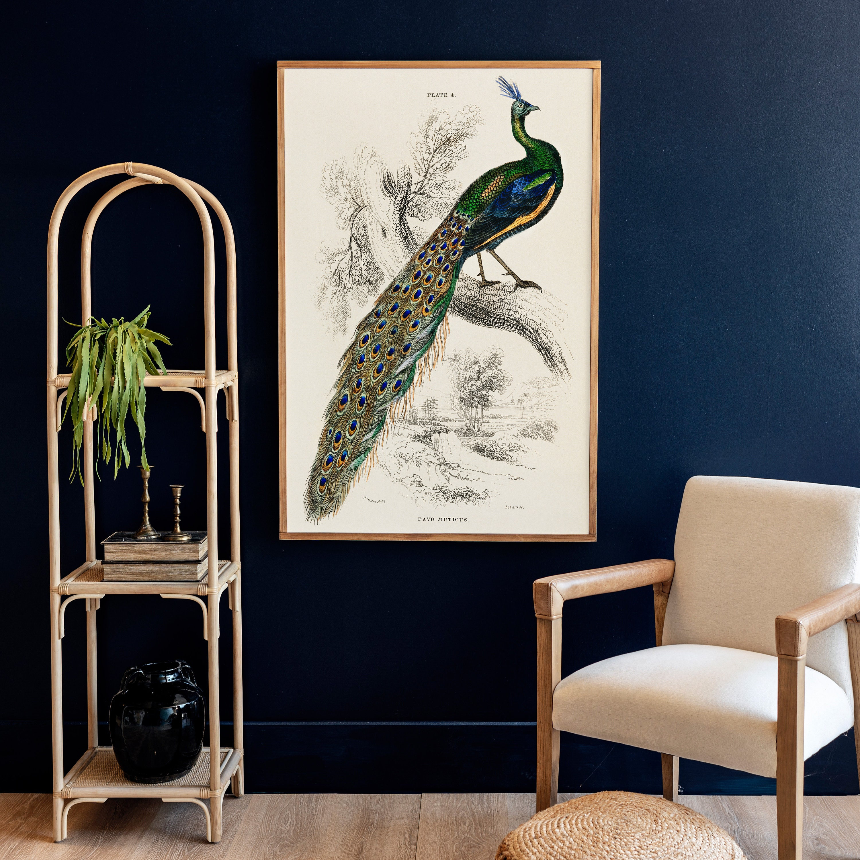 Vintage Peacock Wall Decor