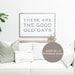 Inspirational Wall Decor Sign | Horizontal Motivational Wall Art | Living Room Sign | Farmhouse Wall Decor These Are The Good Old Days Sign 