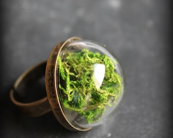 Ring "Nursery" MOSS terrarium